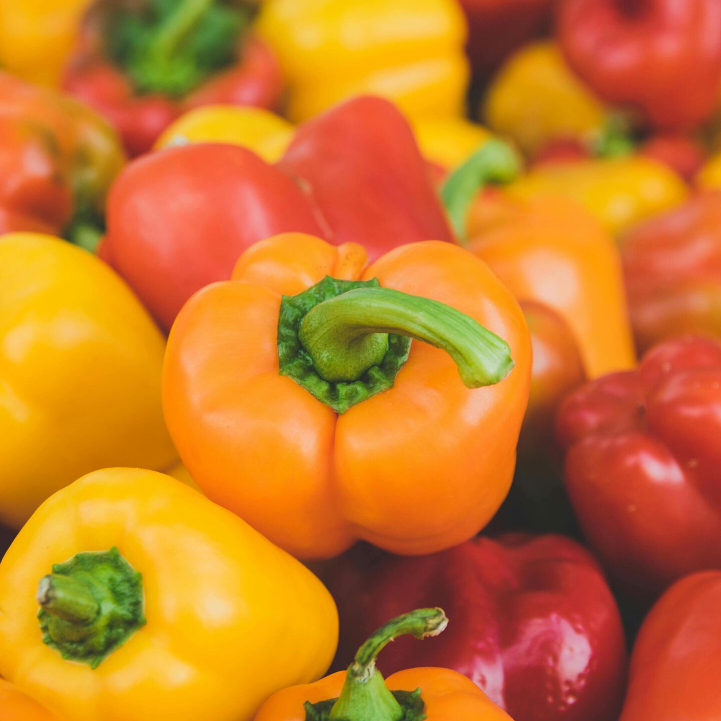 <b>CAN DOGS EAT PEPPERS?</b><br><br>Find out whether peppers are a safe and healthy choice for your dog&hellip;</br>